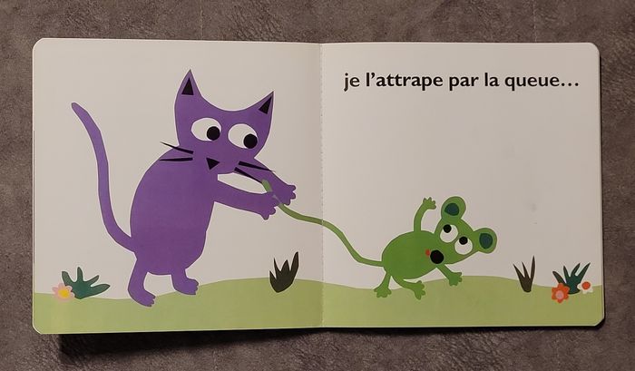 Une souris verte Pierrick Bisinski - photo numéro 3