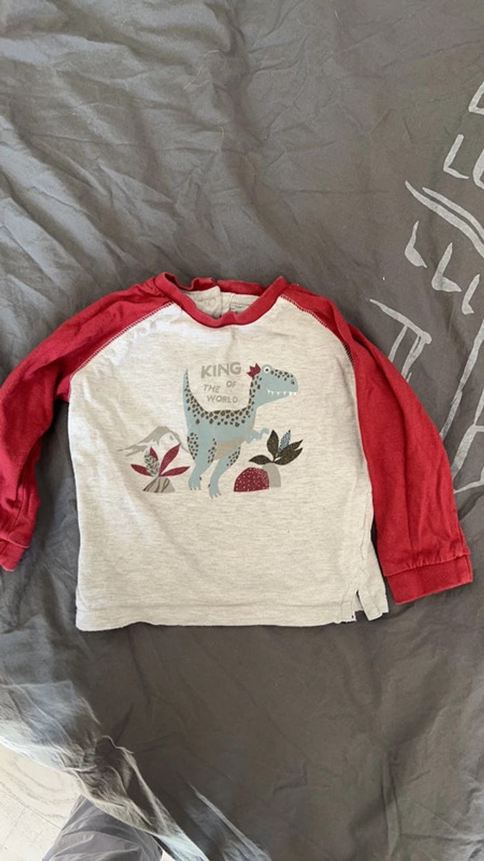 T-shirt dinosaure 18 mois