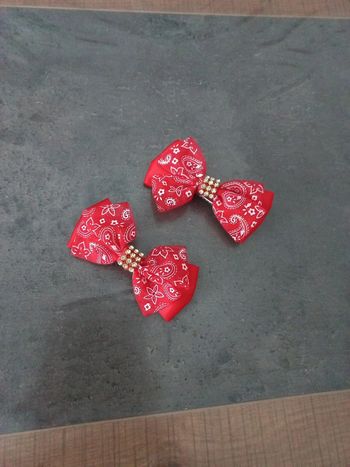 Barette clips rouge 🩷