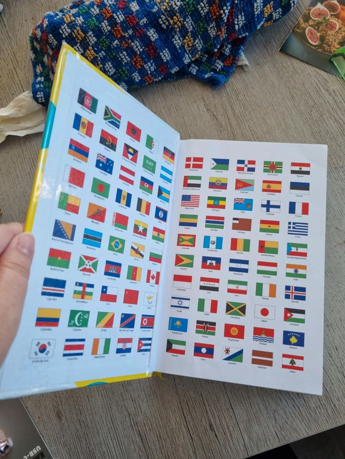 Dictionnaire gs cp ce1 - photo numéro 6