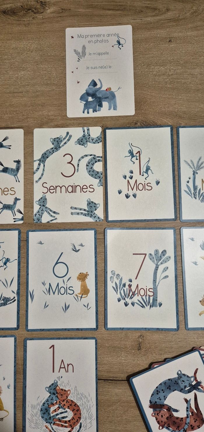 Cartes mes 12 premiers mois Moulin Roty - photo numéro 6