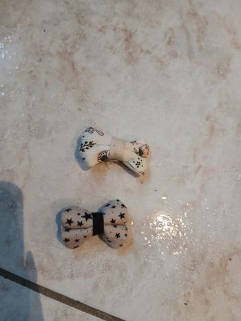 Pince cheveux Ikks créatrice 