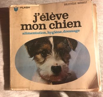 J’élève mon chien