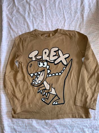 T-shirt garçons dinosaure h&m