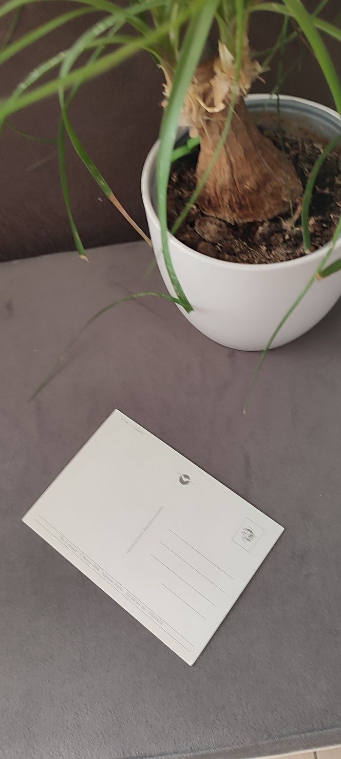 Carte postale Gaston Lagaffe - photo numéro 3