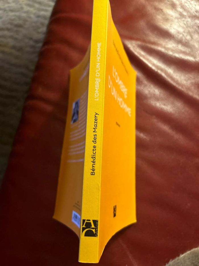 l’ombre d’un homme - photo numéro 3