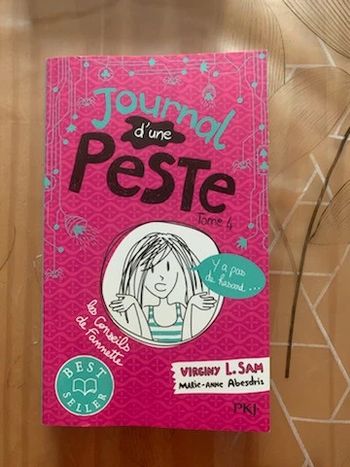 Livre journal d'une peste