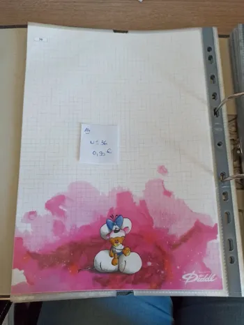 Feuille Diddl A4 36 0,90€