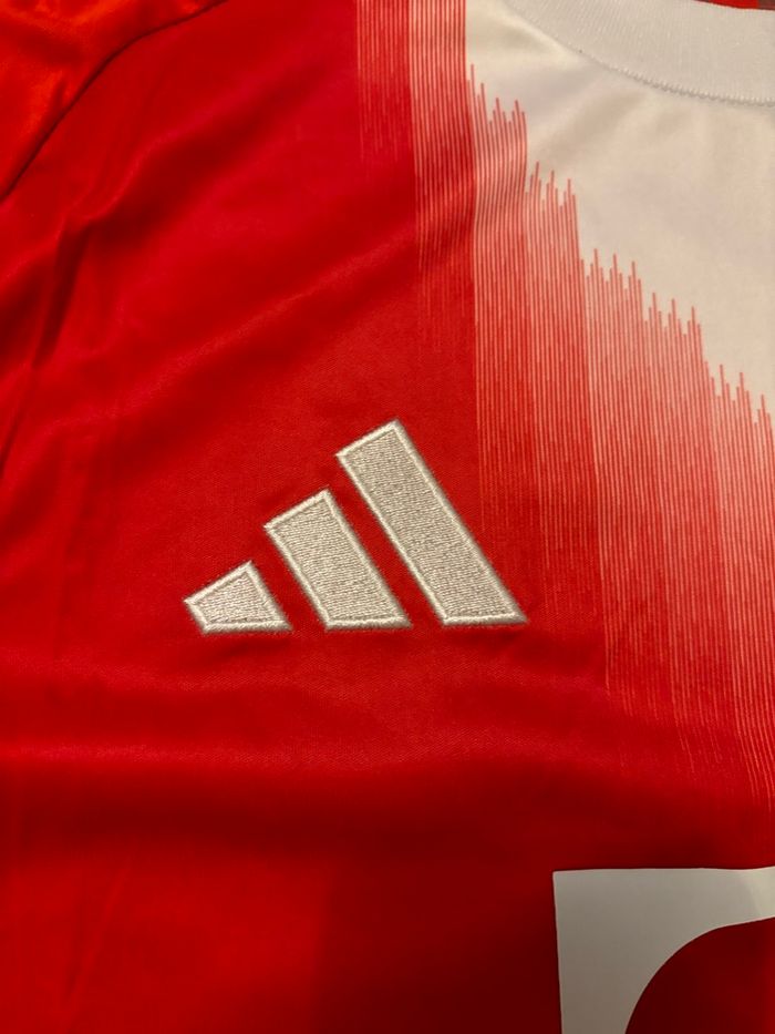 Maillot Bayern munich Domicile 25/26 - photo numéro 8