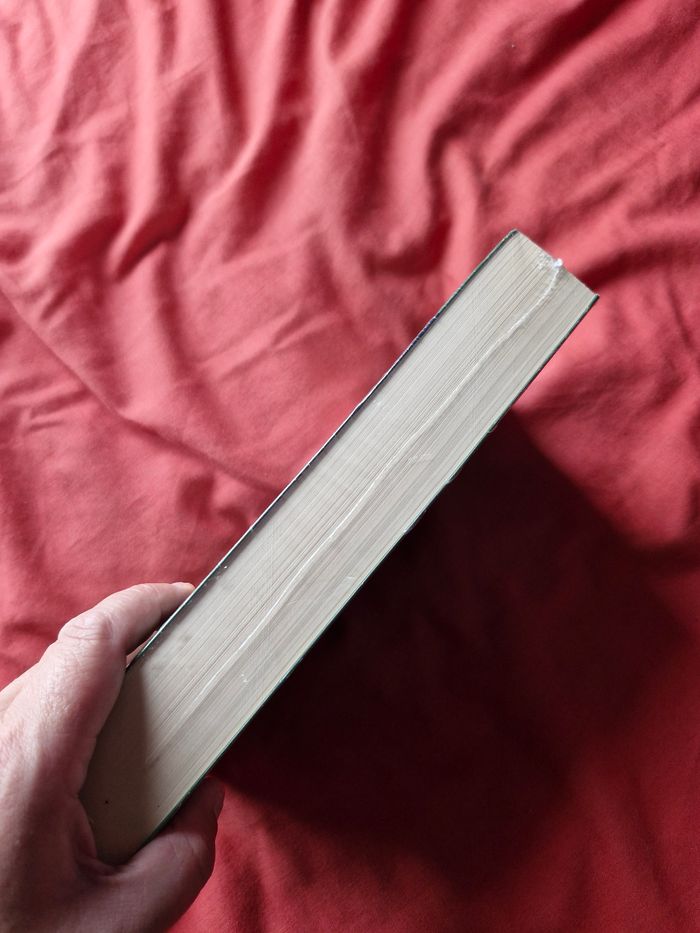 Saga L'épée de vérité ou Legend of the seeker - photo numéro 7