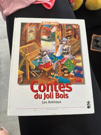 Livre contes du joli bois