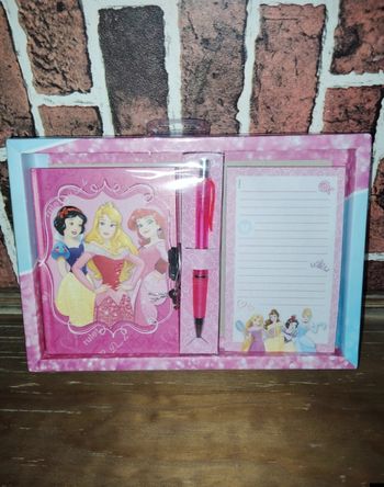 Carnet secret princesse Disney