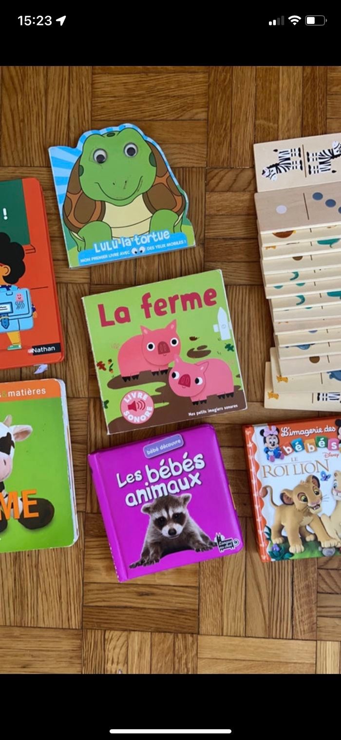 Lot livre et dominos