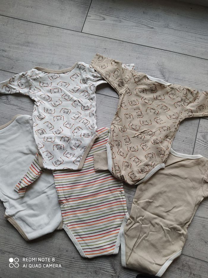 Lot de bodies - photo numéro 2