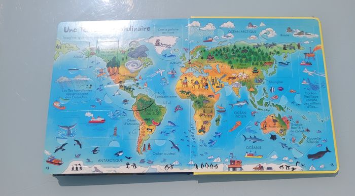 P'tits curieux Usborne 🌎 Notre Terre 🌎 80 rabats - photo numéro 10