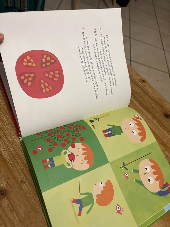 Les tomates - photo numéro 2