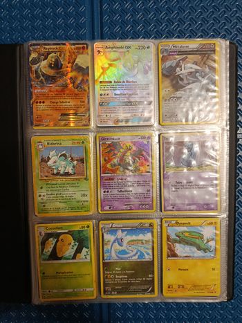 Lot de 78 cartes Pokémon avec classeur lucario inclus !