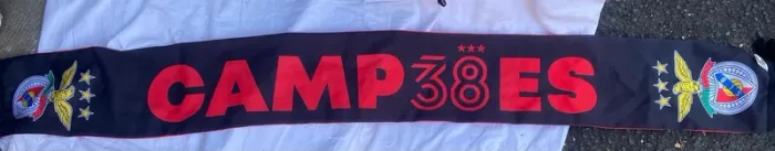 Écharpe benfica - photo numéro 2