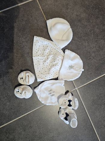 Bonnet