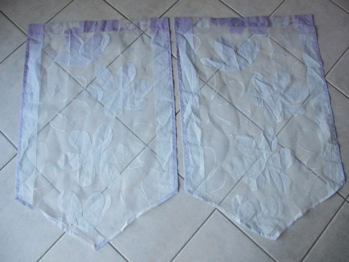 Lot de 2 vitrages 60 x 90 cm