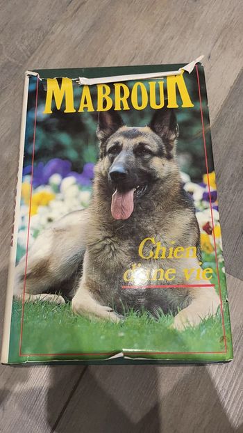 Mabrouk chien d’une vie