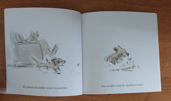 Jules & Tao - l'école des loisirs - photo numéro 3