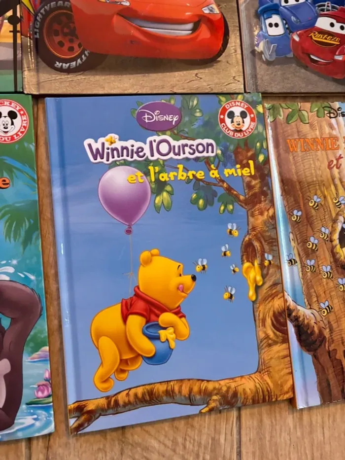 Lot de livres Disney - photo numéro 12