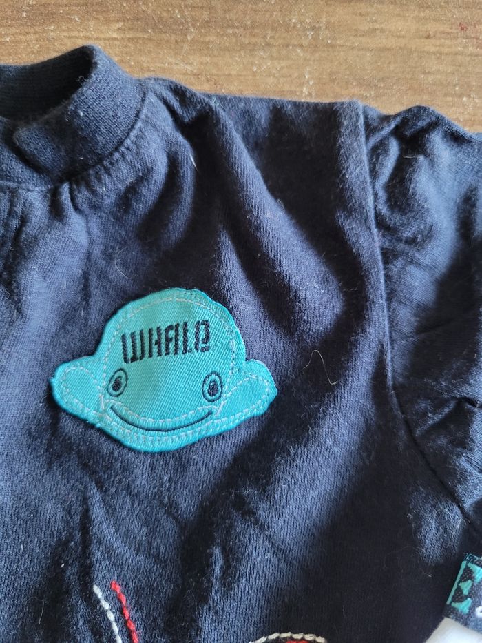 Polos - photo numéro 3