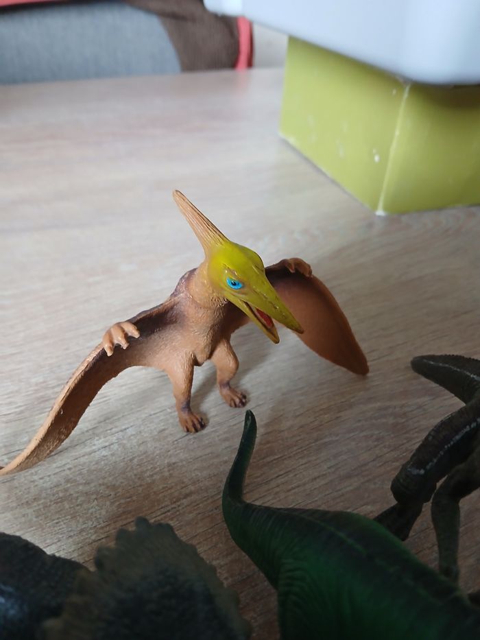 4 dinosaures - photo numéro 3