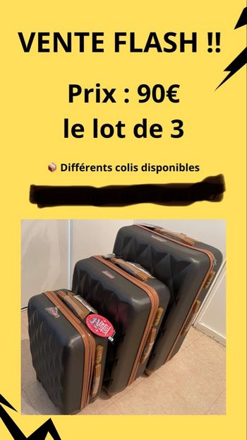 Valise 70-60-50 cm