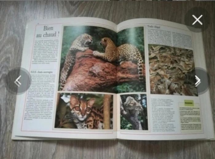 Livre la vie des forêts tropicales - photo numéro 2