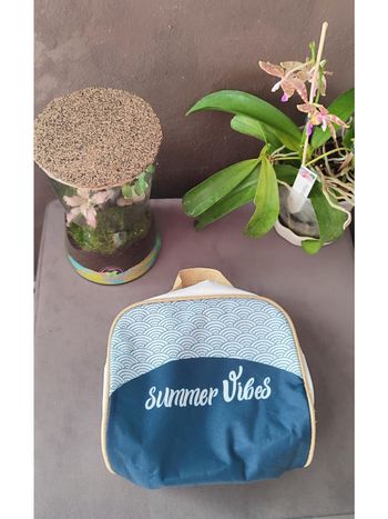 Trousse summer vibes Yves Rocher