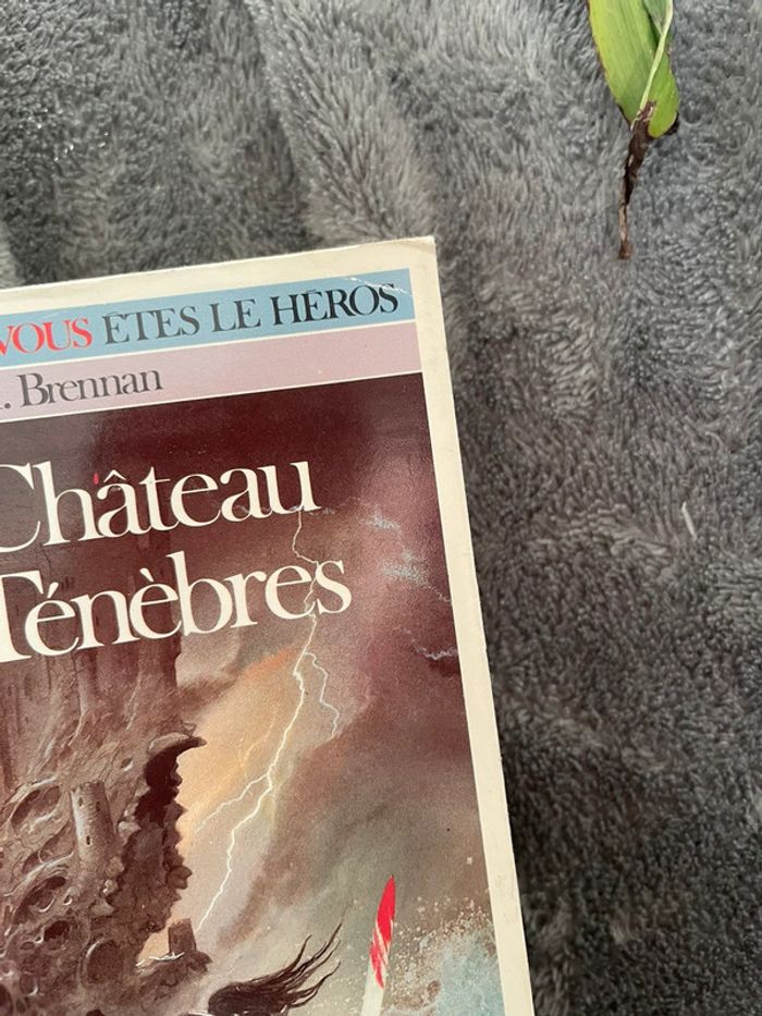 Livre dont vous êtes le héros le château des ténèbres - photo numéro 4