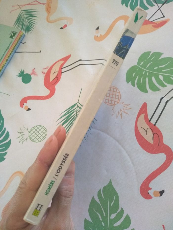 Livre L'odyssée - photo numéro 10