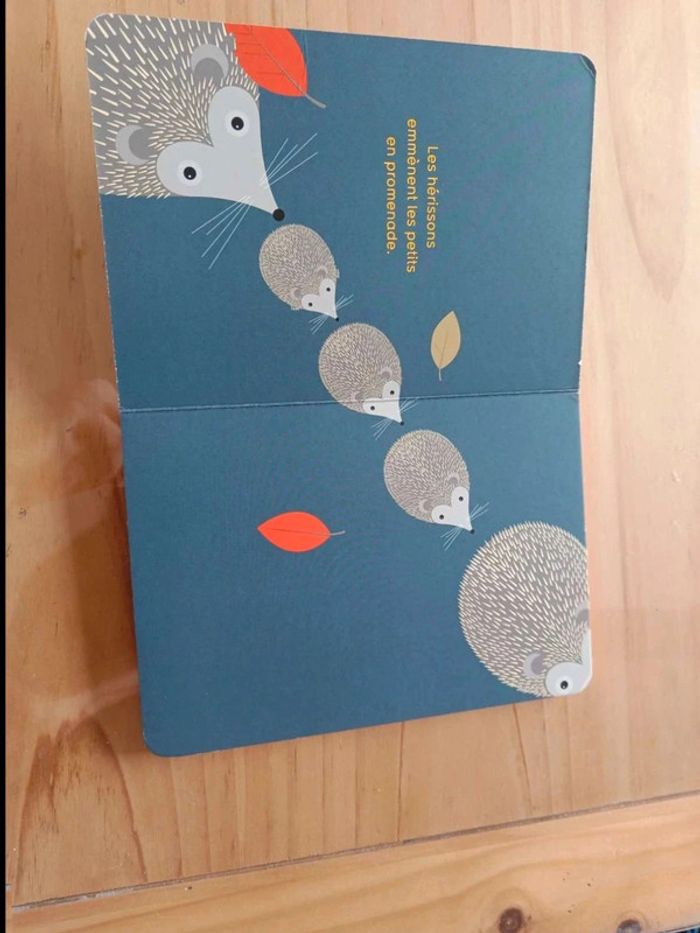 Et le SPO quand la nuit tombe - photo numéro 2