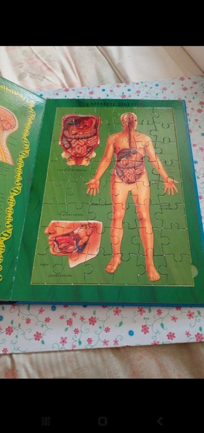 Livre 5 puzzles le corps humain - photo numéro 7