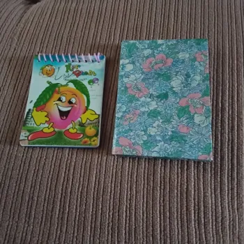 Petits carnets
