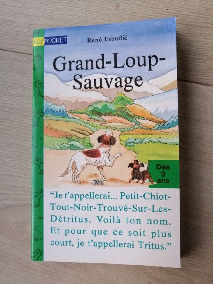 Livre Grand-Loup-Sauvage de René Escudié en très bon état