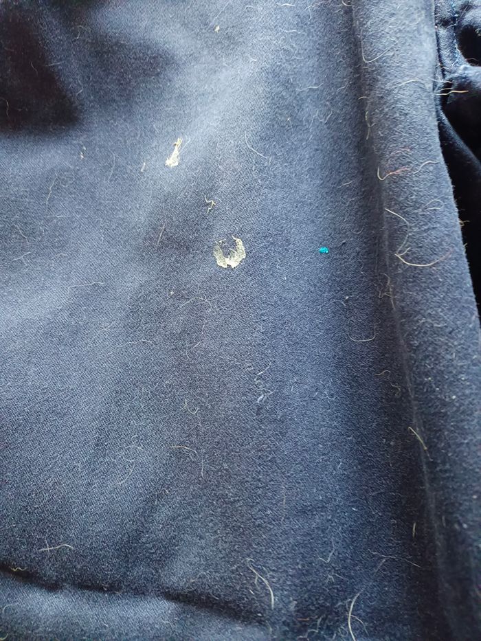 Lot de deux pantalons de travail taille 6 - photo numéro 5