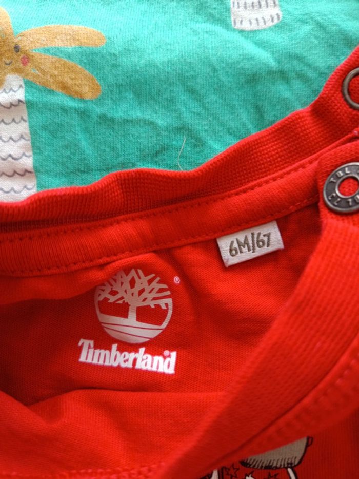 Lot 4 tee shirt 6mois - photo numéro 3