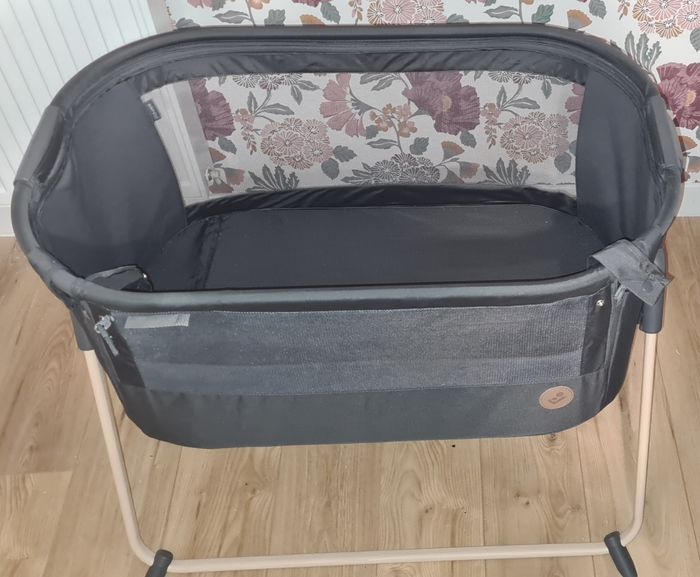 Cododo - photo numéro 4