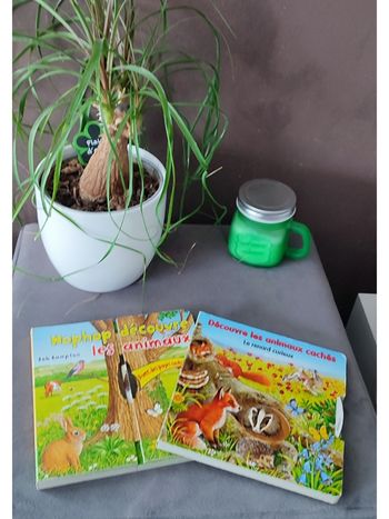 Lot 2 livres animés