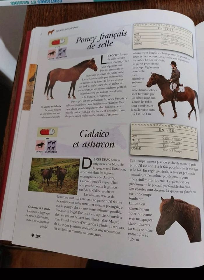 Encyclopédie des chevaux et poneys - photo numéro 2
