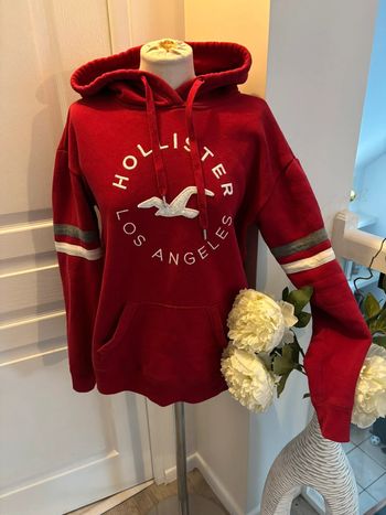 Sweat Hollister
