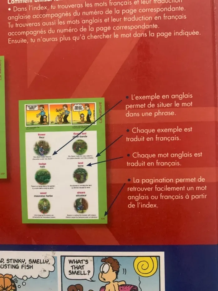 Garfield – Mon premier dictionnaire d’anglais (2012) - photo numéro 3