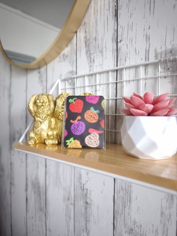 Magnet One Piece – Fruits du Démon – Neuf avec emballage 