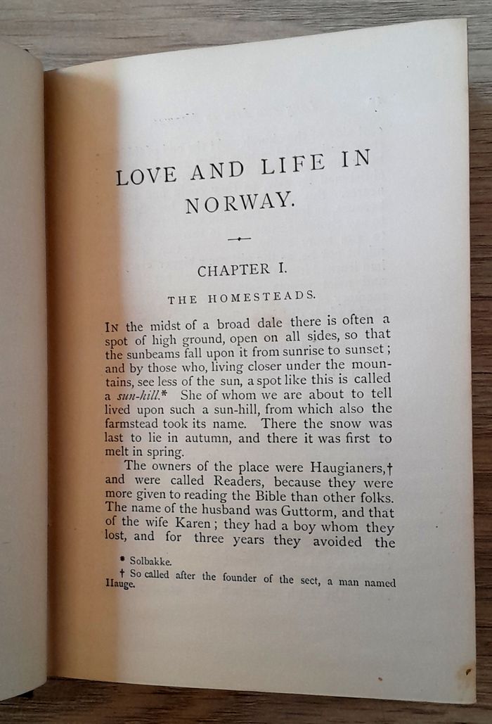 love and life in Norway by the Hon Bethell, and Augusta Plesner - photo numéro 9