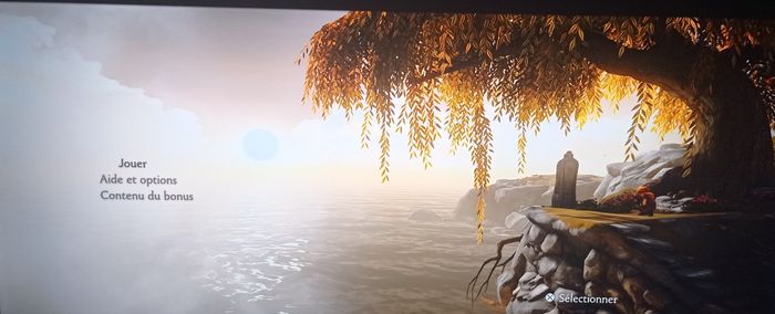 😍brothers a tale of two sons sur PS4/ps5 - photo numéro 3