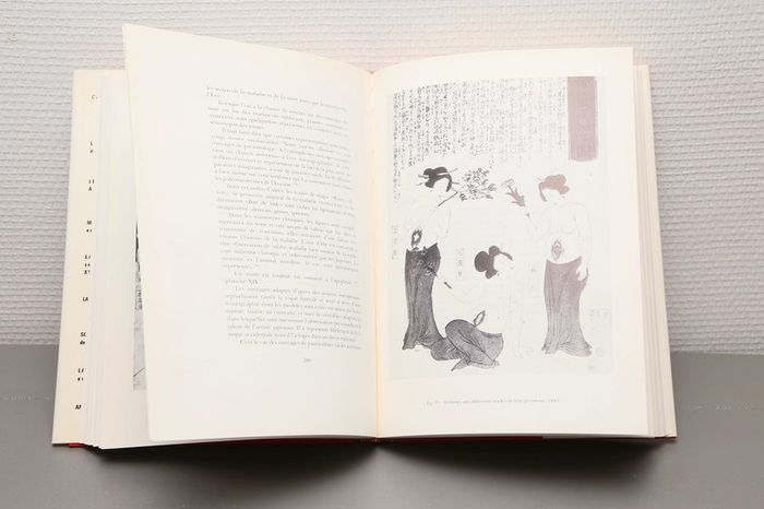 La médecine japonaise - photo numéro 2