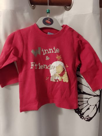 Tee-shirt Winnie and friends 12 mois 